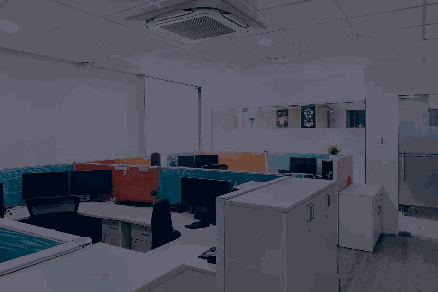 Alveo Software team working together